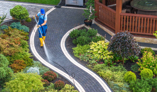 Best Affordable Power Washing  in Cana, VA